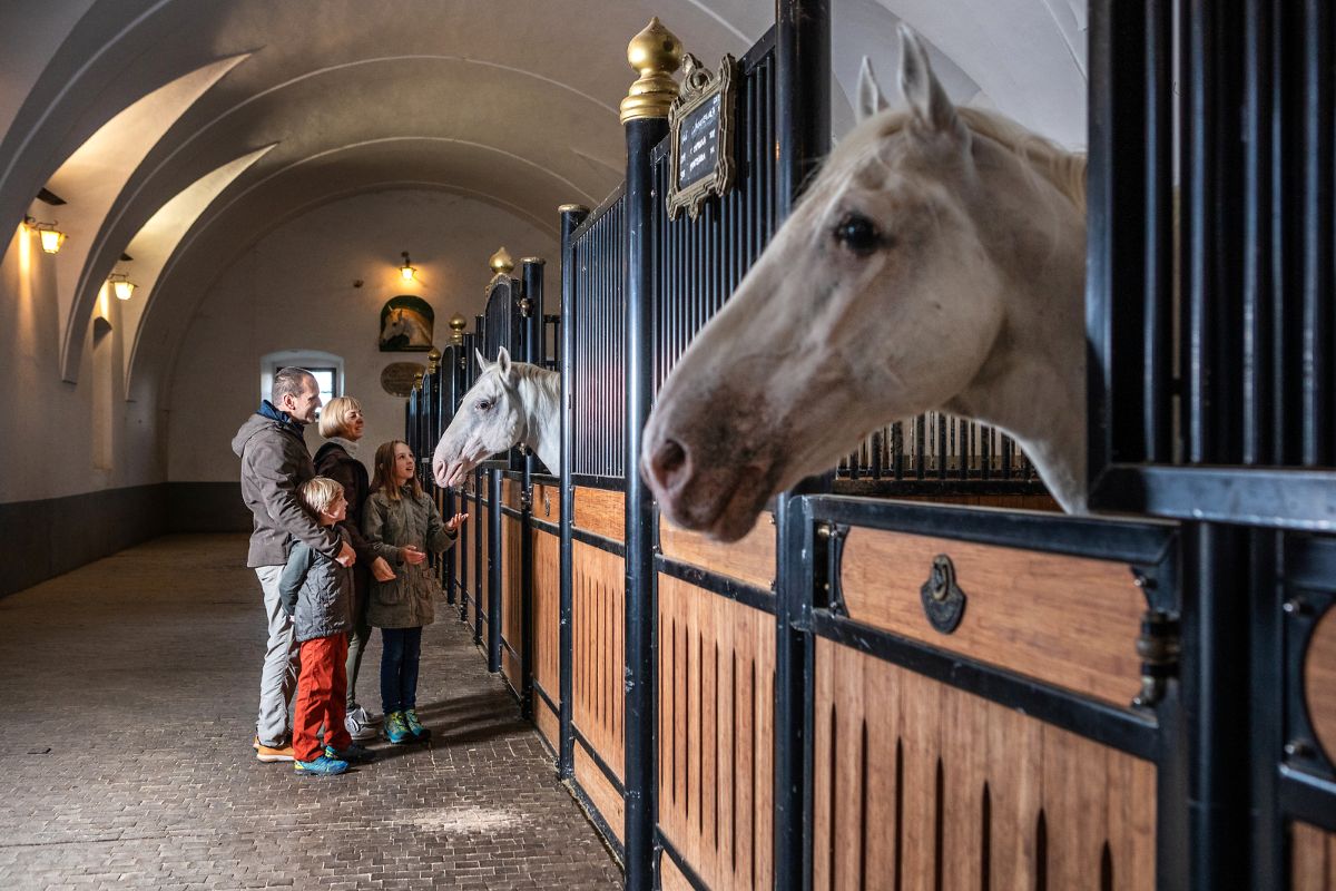 © Gestüt Lipica & Hotel Maestoso 4*Superior