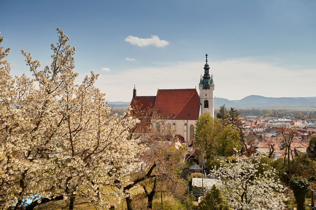 © Stadtmarketing Krems, Foto: Andreas Hofer