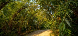 Fossilienwelt Weinviertel