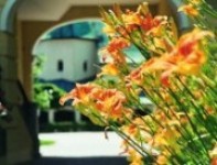 Busreisen, Hotel, Ausflugsziel, Busreisen.cc, Gruppenreisen, Hotel zur Post Altötting, Altötting, Bayern, Deutschland