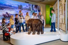 © Neanderthal Museum