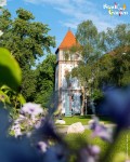© Thomas Mayrhofer, Stadt Wels 
