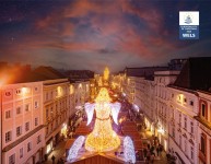 © Tourismusregion Wels