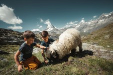 © Gornergrat Bahn - Schnyder Werbung