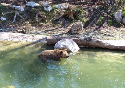 © Cumberland Wildpark Grünau