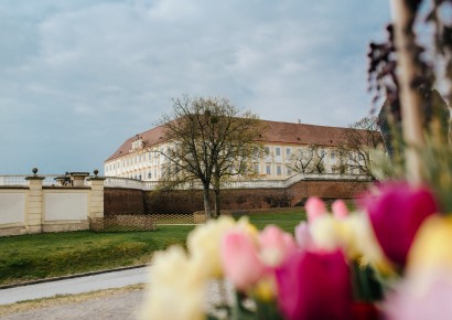 © Michal Cilc / Schloß Schönbrunn Kultur- und Betriebsges.m.b.H.