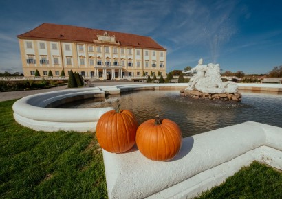 © Michael Cilc / Schloß Schönbrunn Kultur- und Betriebsges.m.b.H.