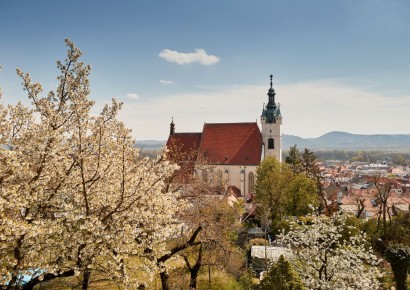© Stadtmarketing Krems, Foto: Andreas Hofer