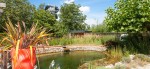 © DIE GARTEN TULLN