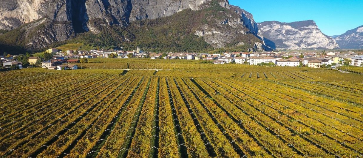 © Distilleria Bertagnolli