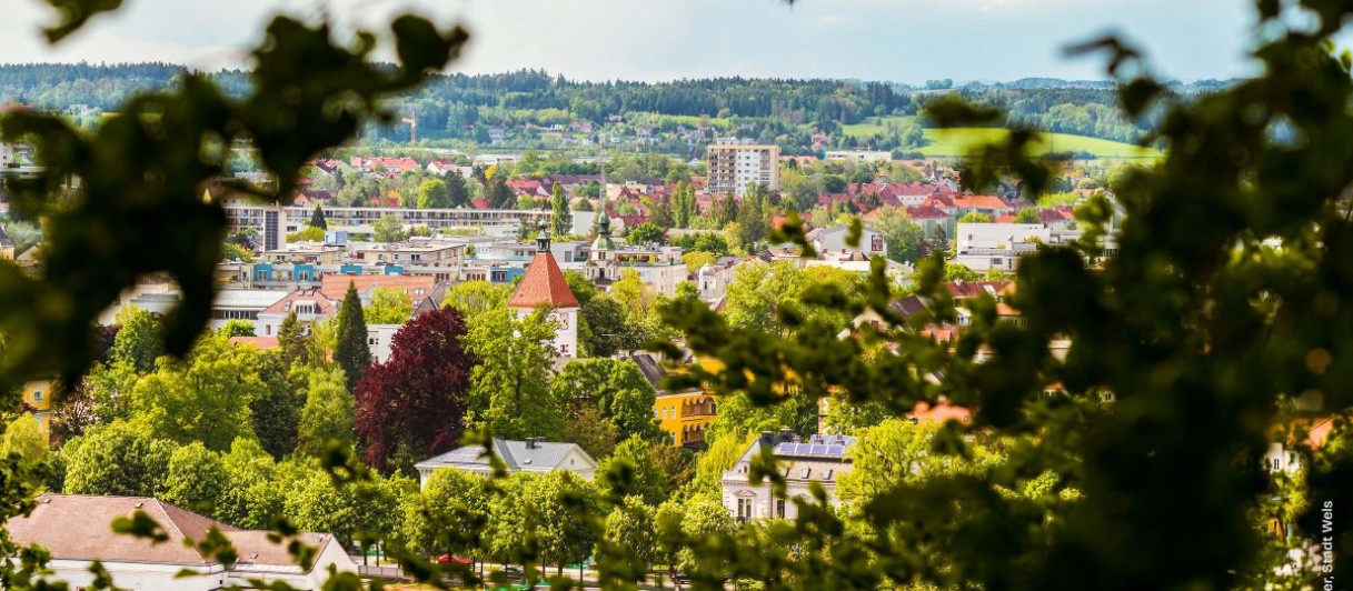 © Thomas Mayrhofer, Stadt Wels 