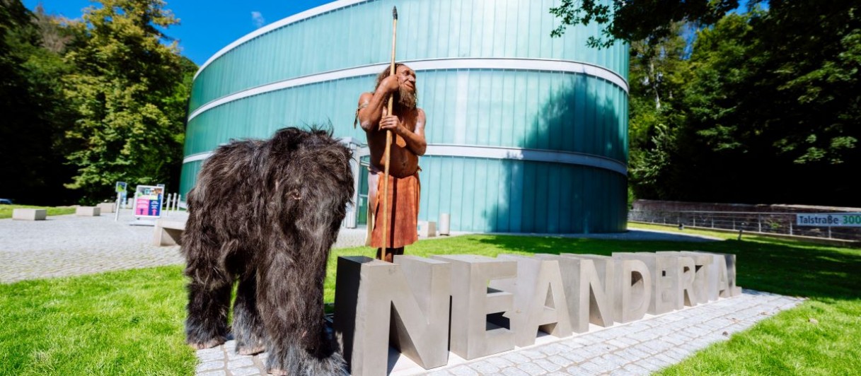 © Neanderthal Museum