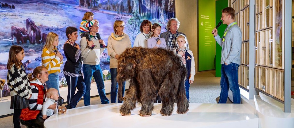 © Neanderthal Museum