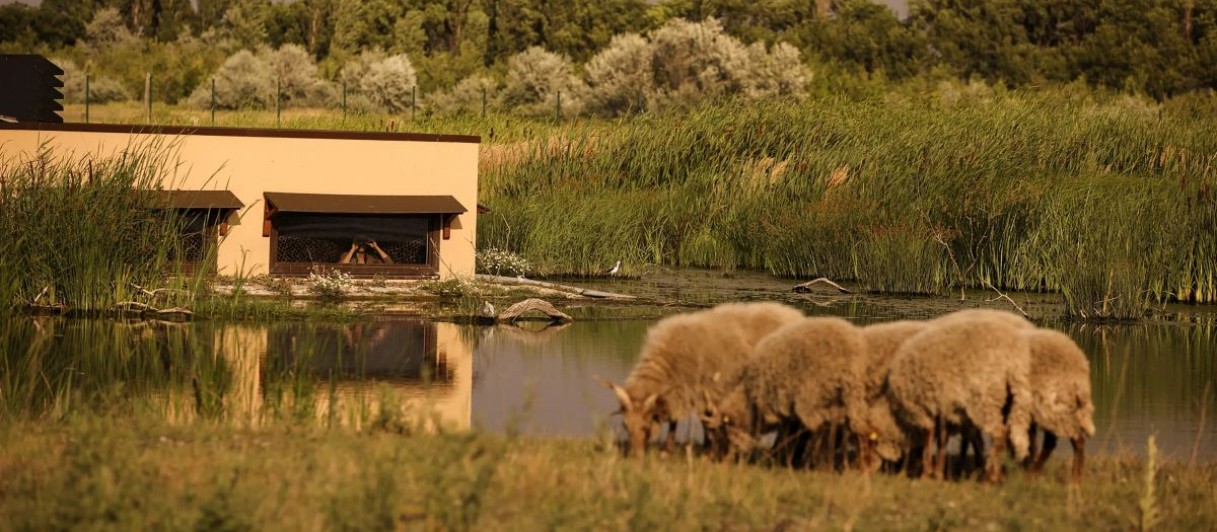 © St.Martins Therme & Lodge_Safarihide