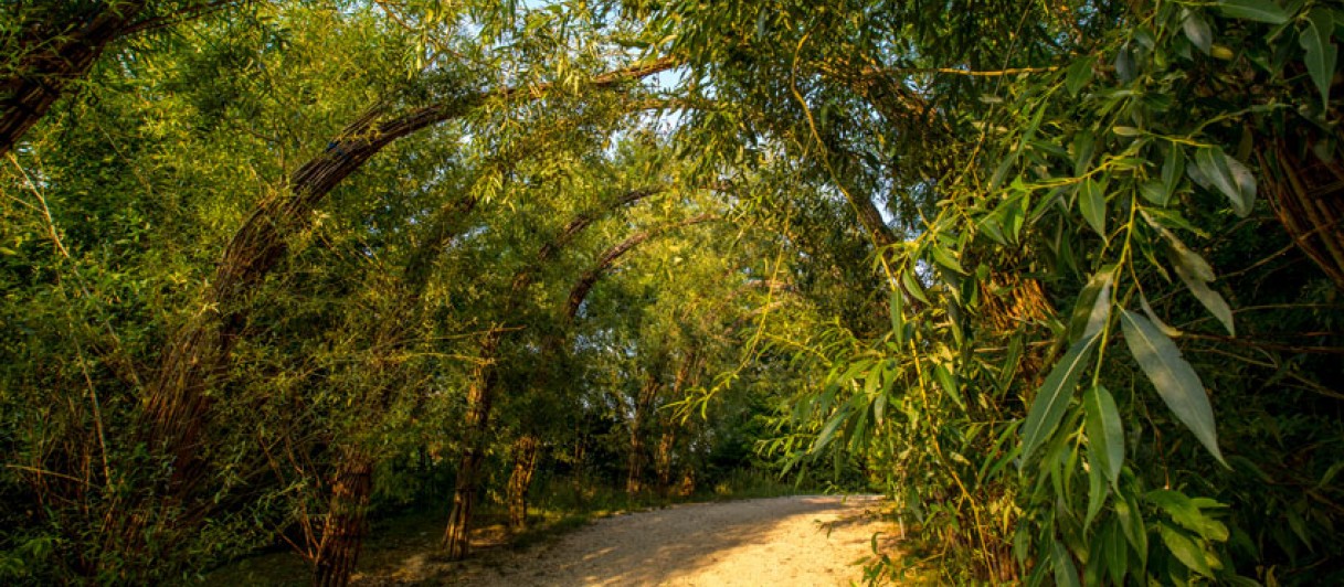 Fossilienwelt Weinviertel