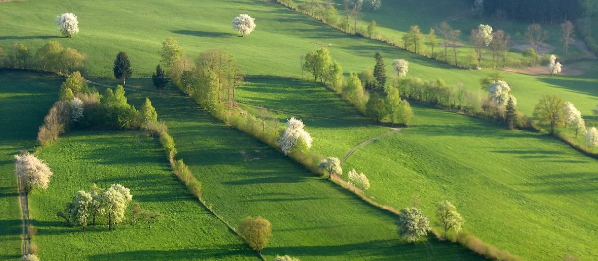 Steinschaler Naturhotel****